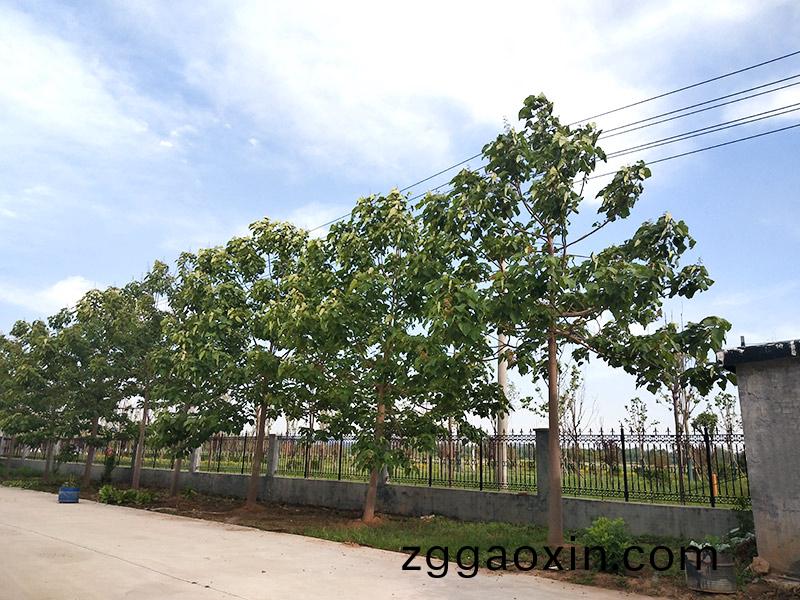 濟寧市(shi)大(da)氣環境質量2015年12月份13縣市(shi)區排名(ming)