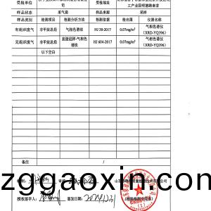 檢測報告（2024.12.31）