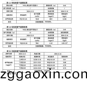 檢測報告（2024.12.31）